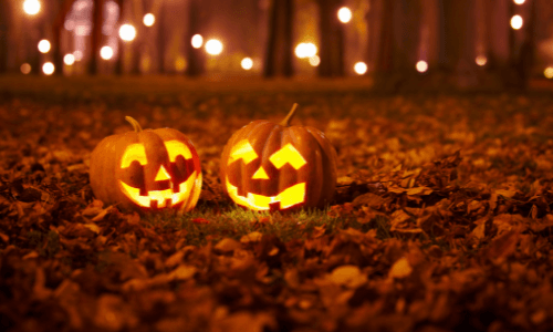 Pumpkins at Halloween